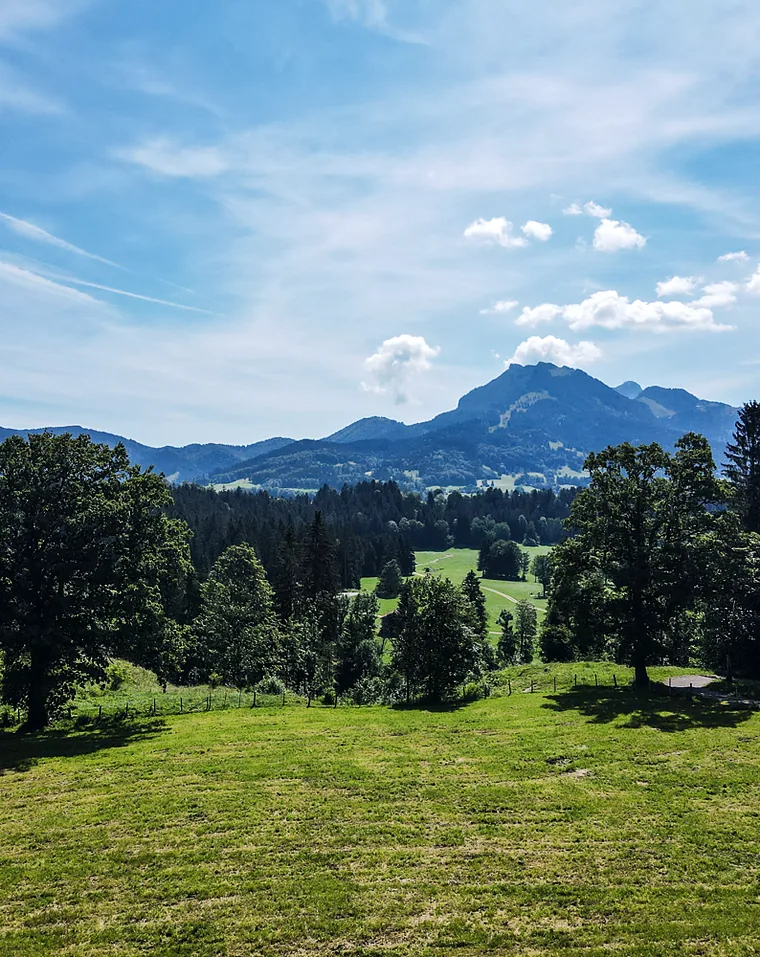 Blick über das Leitzachtal auf die Berge